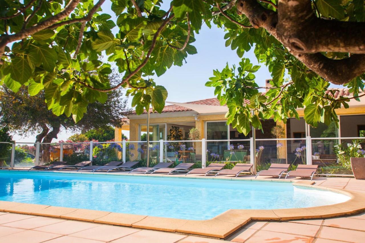 Maison Kiwi Avec Piscine Chauffee Terrasse Jardin Et Bbq A Calvi Calvi  Exteriör bild