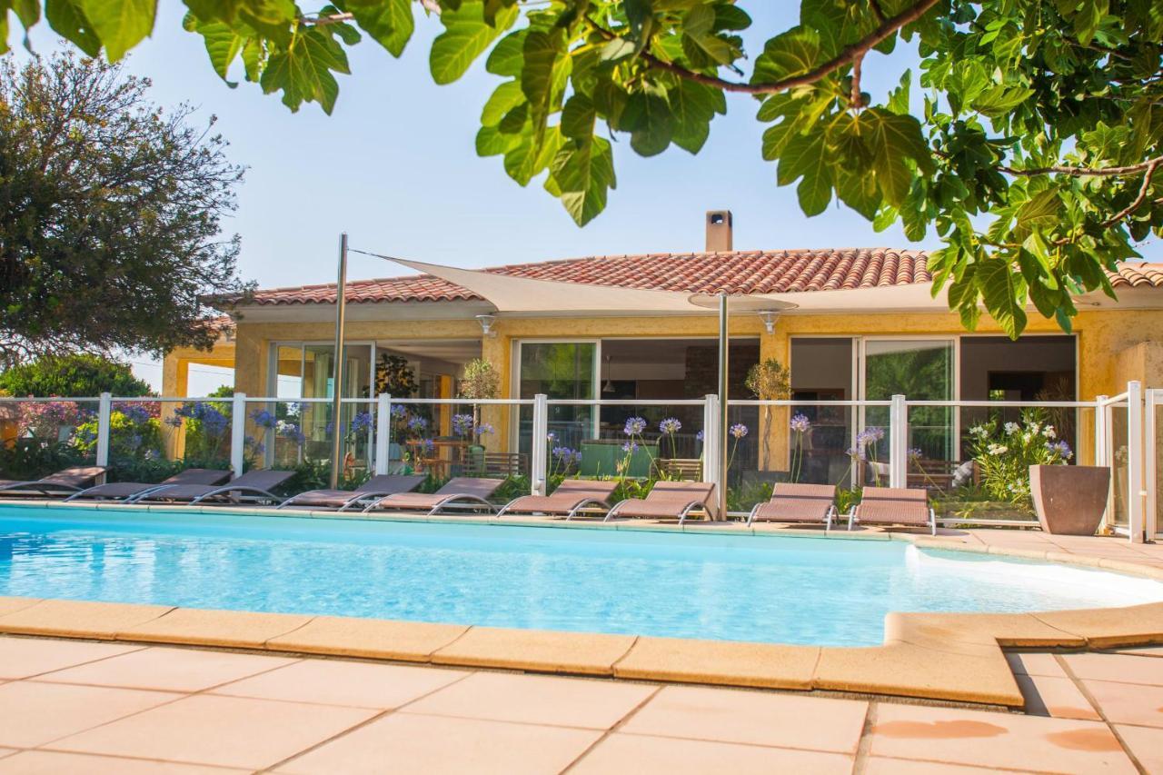 Maison Kiwi Avec Piscine Chauffee Terrasse Jardin Et Bbq A Calvi Calvi  Exteriör bild